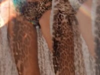 Load and play video in Gallery viewer, Video: Empress Top Top Biquini Angel Leopardo
